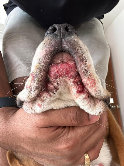 The Pet Specialist