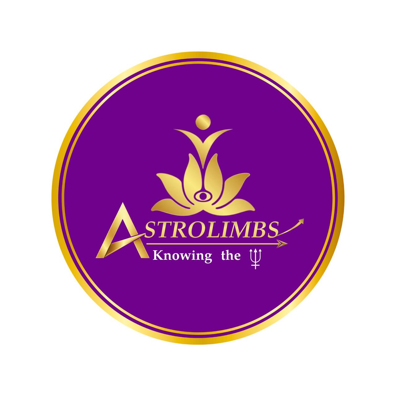 Vastu Consultant & Astrologer in Hinjewadi